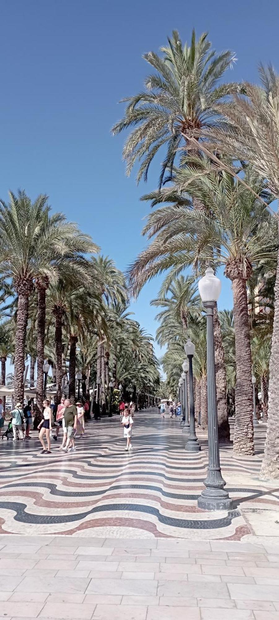Appartamento La Casita Del Marques Alicante Esterno foto